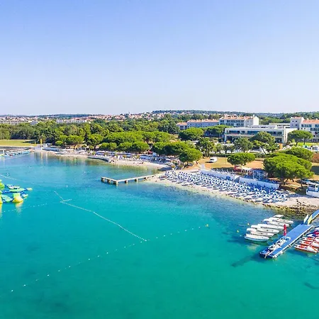 Apartman 2 Bedroom Pet Friendly In *